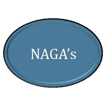 NAGA'S - Facilitateur des Opérations